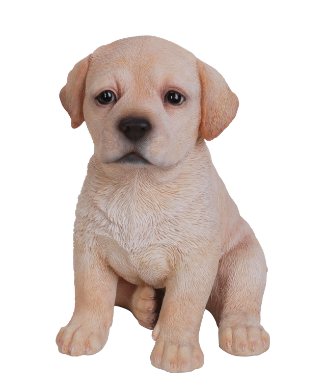 Vivid Arts Golden Labrador Puppy Pet Pal Resin Ornament | PP-LABR-F | 16.5cm | Hand Painted