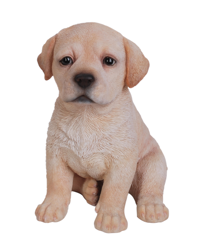 Vivid Arts Golden Labrador Puppy Pet Pal Resin Ornament | PP-LABR-F | 16.5cm | Hand Painted