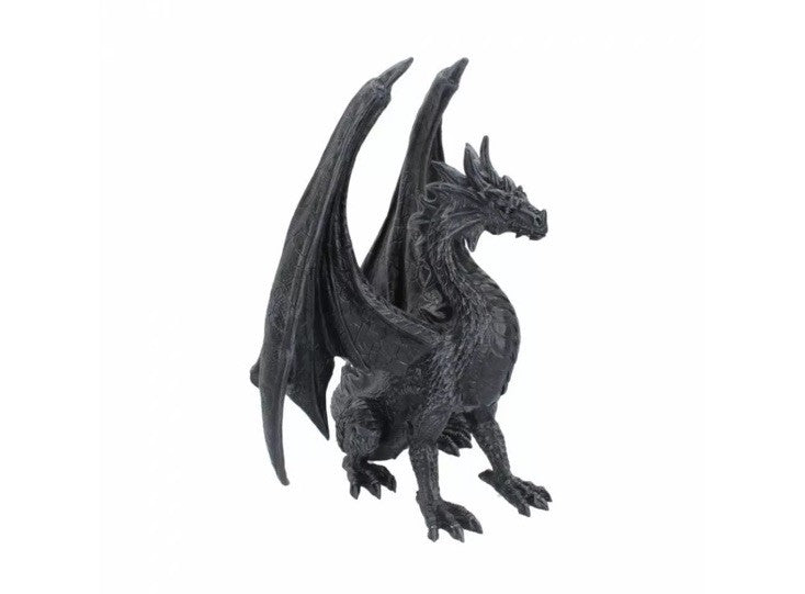 Nemesis Now Black Wing Dragon Figurine 37cm | Impressive Gothic Dragon Gift | Large Statement Ornament