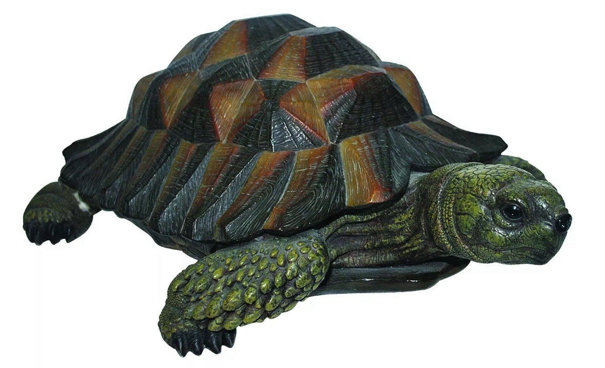 Vivid Arts Nature's Friends Tortoise Resin Ornament | Large | Hand Painted | Indoor & Outdoorr