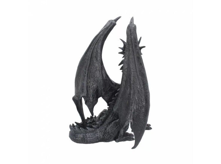 Nemesis Now Black Wing Dragon Figurine 37cm | Impressive Gothic Dragon Gift | Large Statement Ornament