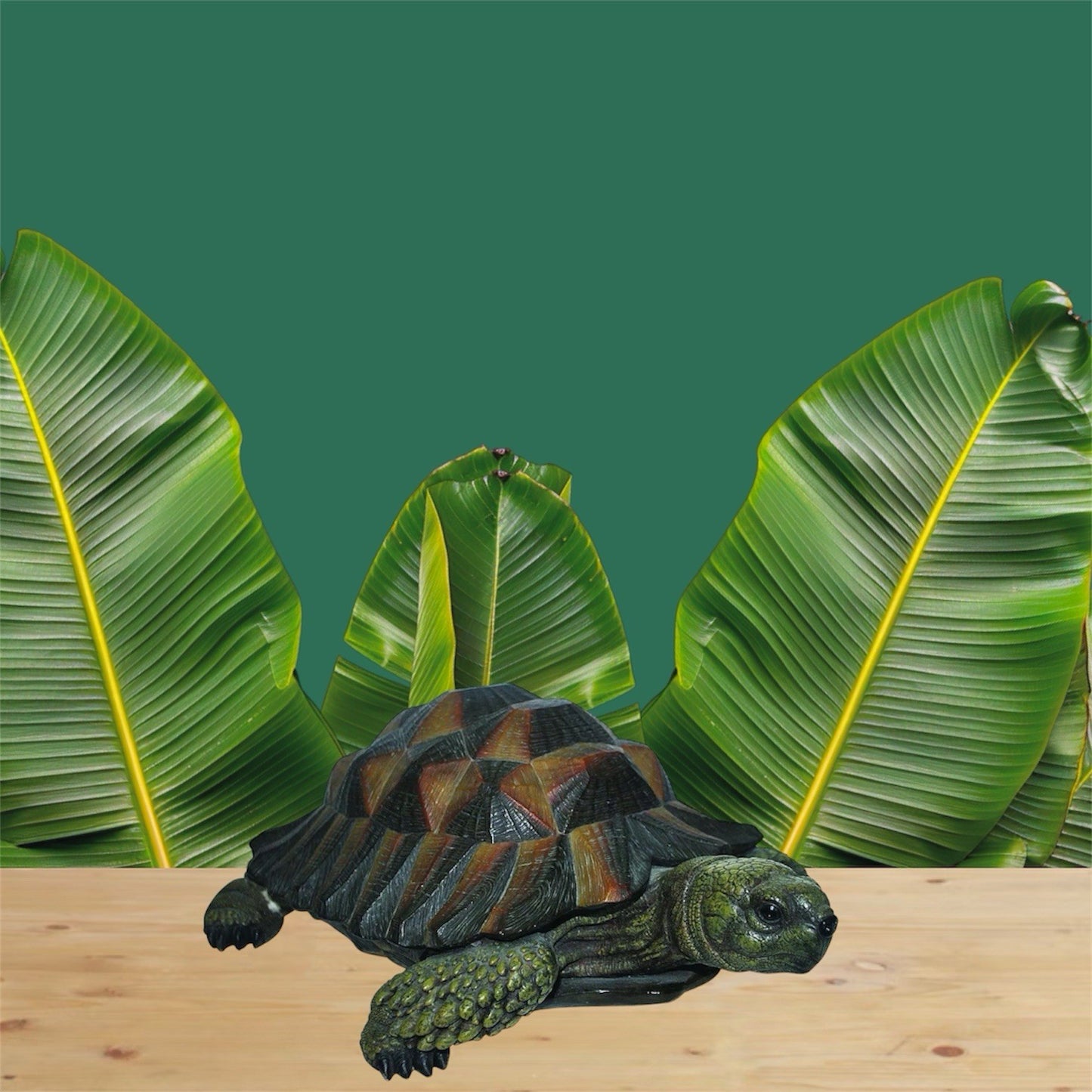 Vivid Arts Nature's Friends Tortoise Resin Ornament | Large | Hand Painted | Indoor & Outdoorr