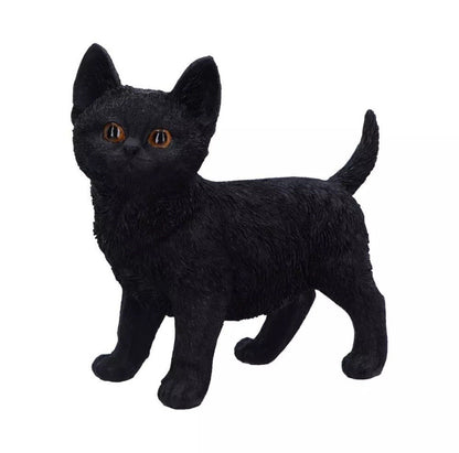 Nemesis Now Charmed Companion Black Cat Figurine 20cm