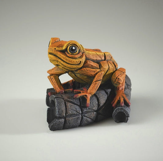 Edge Sculpture African Tree Frog Orange | Matt Buckley Hand-Painted Contemporary Wildlife Figurine