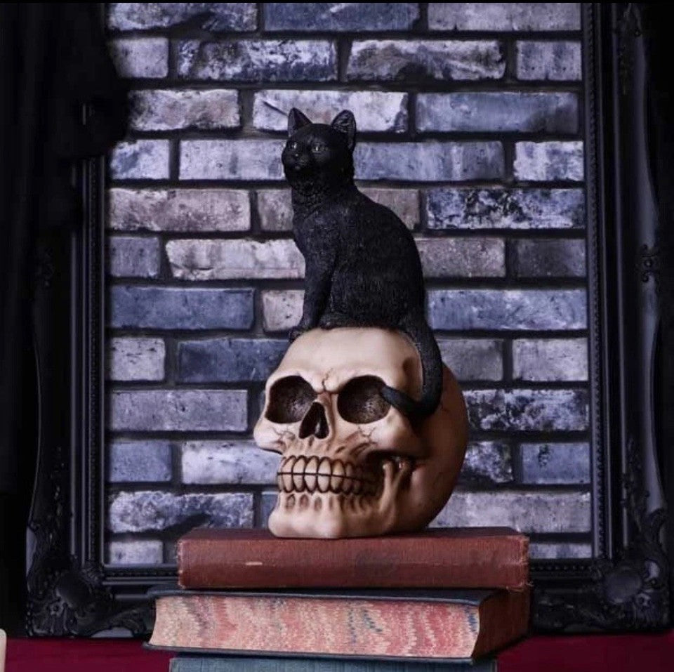 Nemesis Now Familiar Fate Cat & Skull Figurine 24.3cm | Gothic Wiccan Gift | Black Cat Skull Ornament