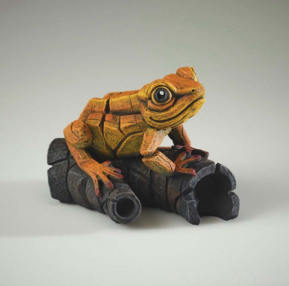 Edge Sculpture African Tree Frog Orange | Matt Buckley Hand-Painted Contemporary Wildlife Figurine