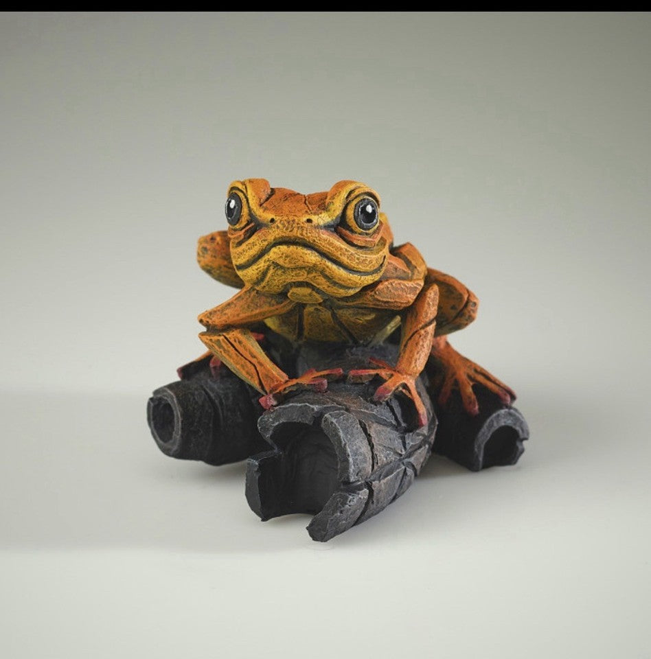Edge Sculpture African Tree Frog Orange | Matt Buckley Hand-Painted Contemporary Wildlife Figurine
