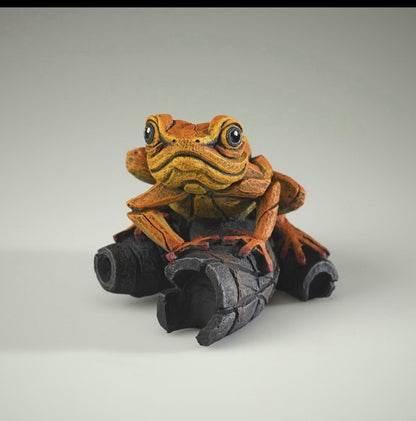 Edge Sculpture African Tree Frog Orange | Matt Buckley Hand-Painted Contemporary Wildlife Figurine